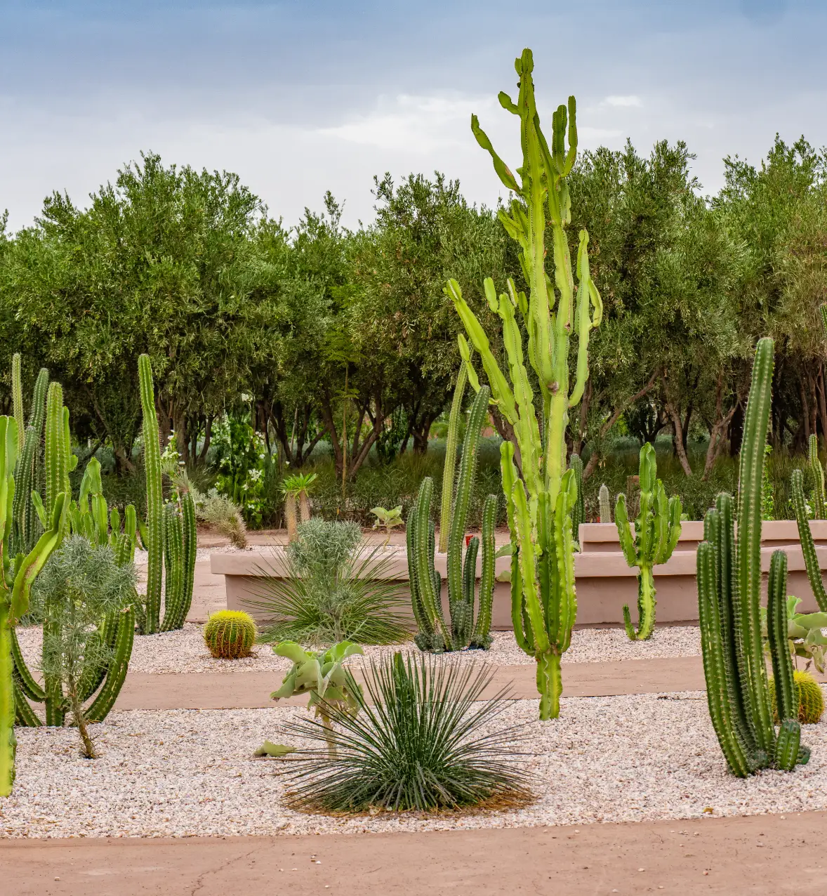 Un univers surprenant