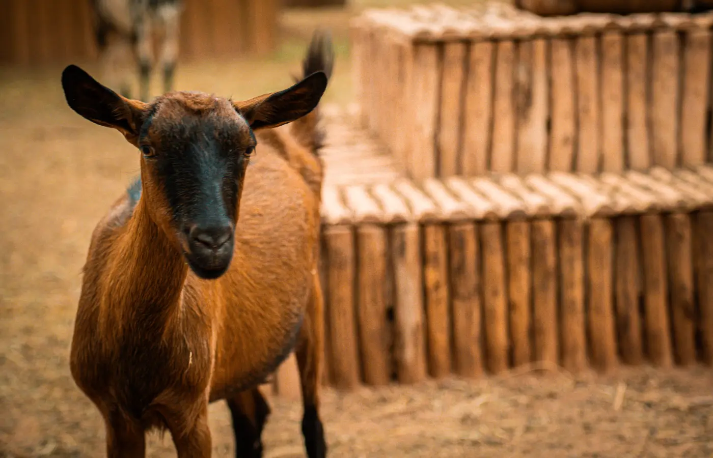 Le Jardin Ocre en images