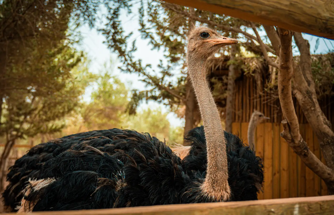 Le Jardin Ocre en images