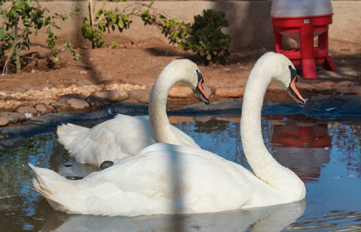 Le Jardin Ocre en images