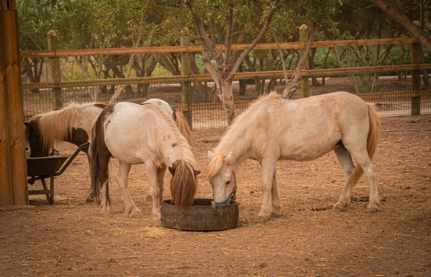 Le Jardin Ocre en images